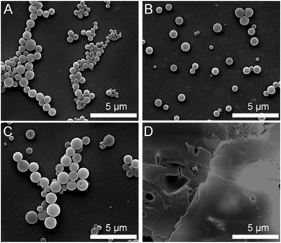 Self-Assembly of Homo-Polyarylene Ether Into Reactive Matrix for Fabrication of Hybrid Functional Microparticles